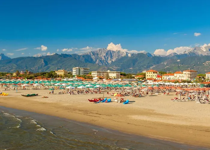 Michelangelo I By Interhome